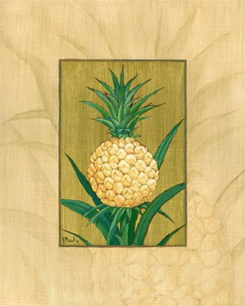 Framed Sugar Loaf Pineapple Print