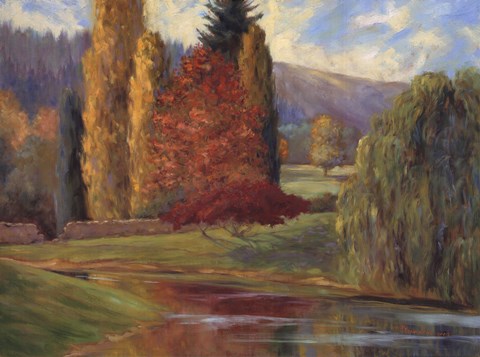 Framed Nature's Splendor I Print