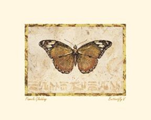 Framed Butterfly V Print