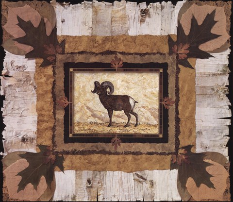 Framed Big Horn Ram Print