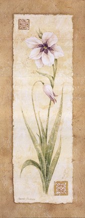 Framed Gladiola Print