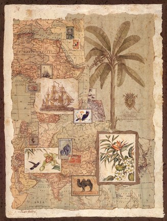 Framed Exotic Shores II Print