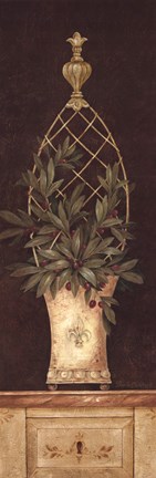Framed Olive Topiary I Print