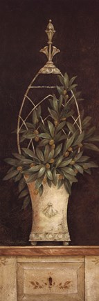 Framed Olive Topiary II Print