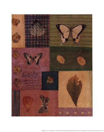Framed Butterflies II Print