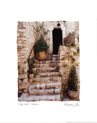 Framed Steps 'n Stones Print