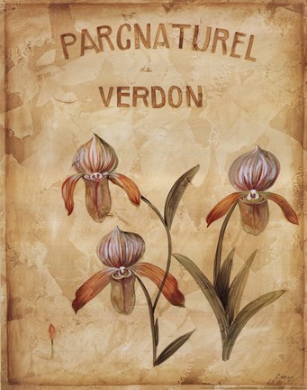 Framed Parcnaturel IV Print