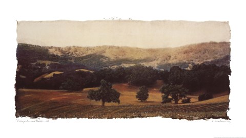 Framed Vineyard and Oak II Print