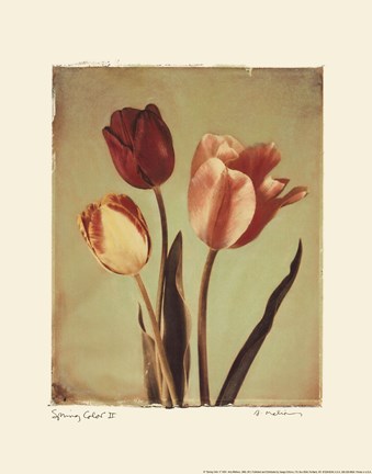 Framed Spring Color II Print