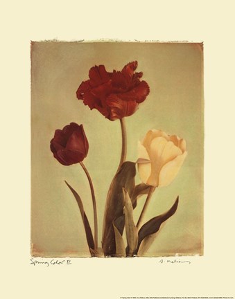 Framed Spring Color IV Print