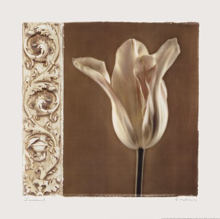 Framed Lumiere I Print