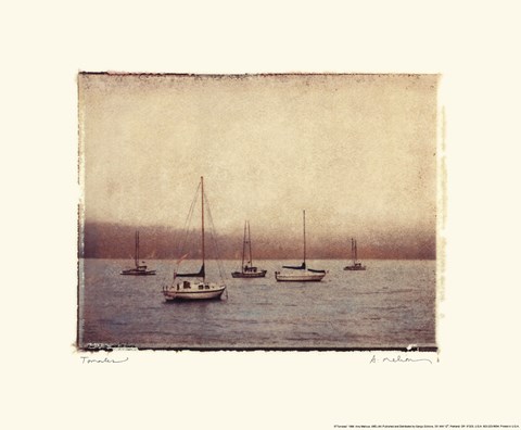 Framed Tomales Print
