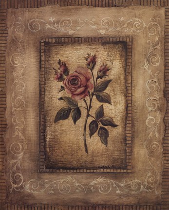 Framed Savin Rose Print