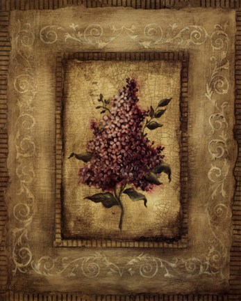 Framed Savin Lilac Print