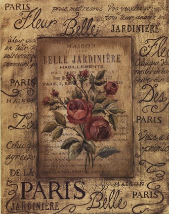 Framed Bel Bouquet II Print