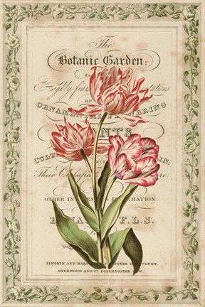 Framed Botanic Garden Print