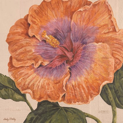 Framed Island Hibiscus II Print