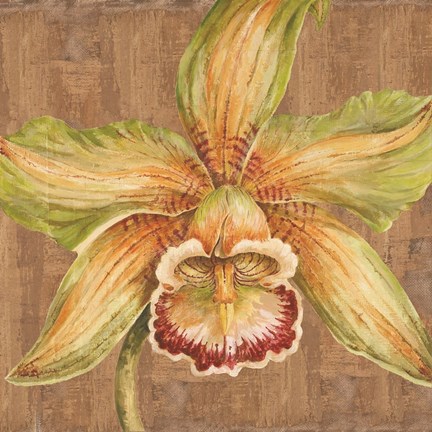 Framed Aloha Beauty I Print