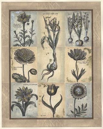 Framed Eleanor&#39;s Treasure II Print