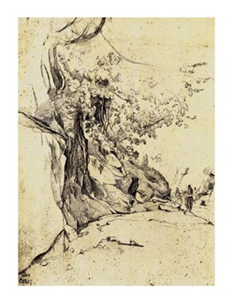 Framed Sepia Tree Study Print