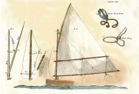 Framed Nautilus I Print