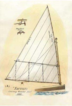 Framed Nautilus III Print