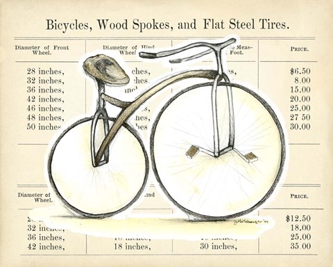 Framed Let&#39;s Go For a Spin II Print