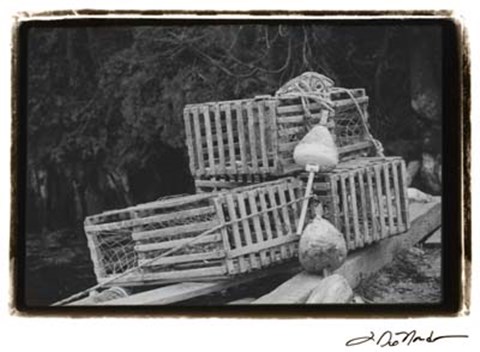 Framed Trapped Print