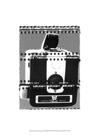 Framed Camera Chrome III Print