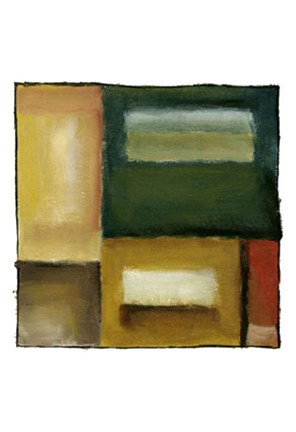 Framed Mirrored Reflections IV Print