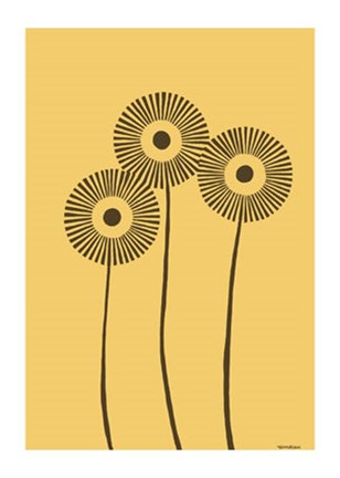 Framed Dandy Dichromatics III Print