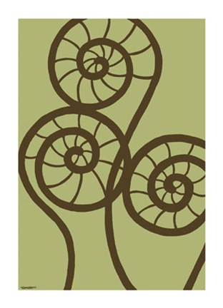 Framed Dichromatic Fiddleheads II Print