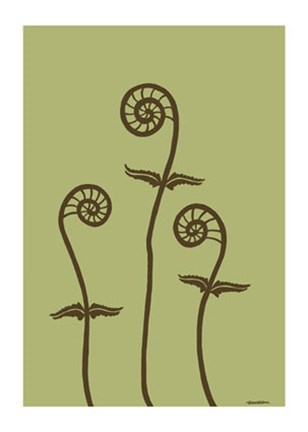 Framed Dichromatic Fiddleheads III Print