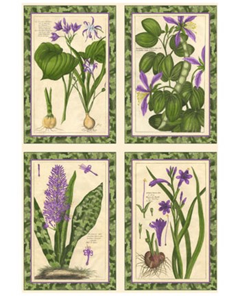 Framed Ruby Florals Print