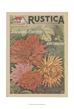 Framed Plantez Des Decoratifs Print