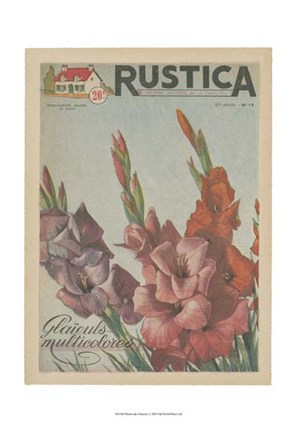 Framed Plantez Des Glaieuls Print