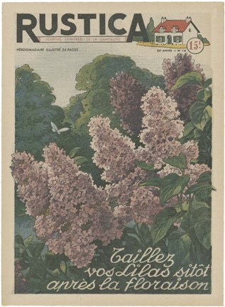 Framed Plantez Des Lilacs Print