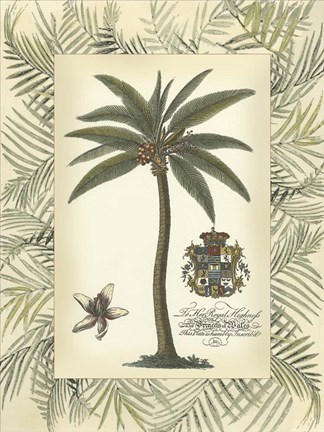 Framed Palm in Bamboo Frame I Print