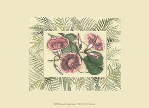 Framed Tropical Flowers in Bamboo I (horizontal) Print