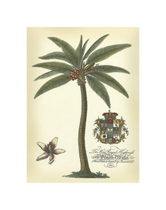 Framed Palm and Crest I Print
