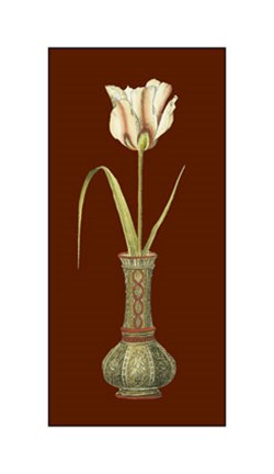 Framed Tulip in Vase IV Print