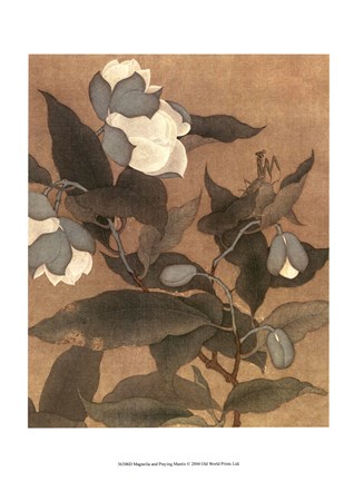 Framed Magnolia and Praying Mantis Print