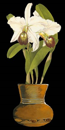 Framed Orchids in Pot I Print