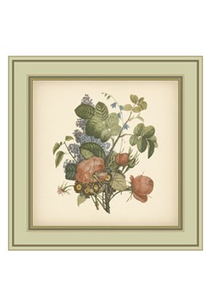 Framed Tuscany Bouquet (P) III Print