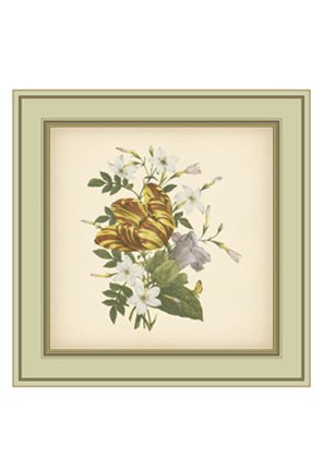 Framed Tuscany Bouquet (P) IX Print