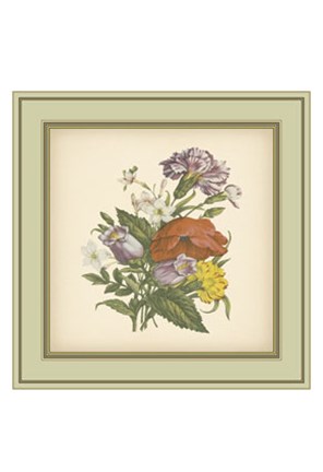 Framed Tuscany Bouquet (P) XI Print