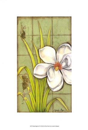Framed Sugar Magnolia (P) I Print