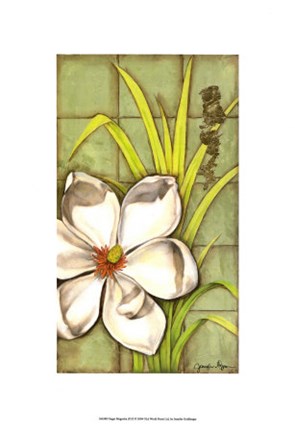 Framed Sugar Magnolia (P) II Print