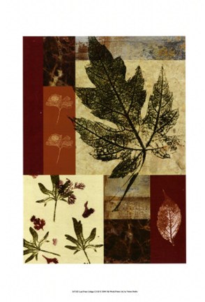 Framed Leaf Print Collage (U) III Print
