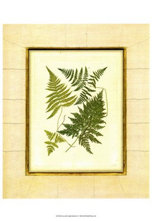 Framed Fern with Crackle Mat  I Print